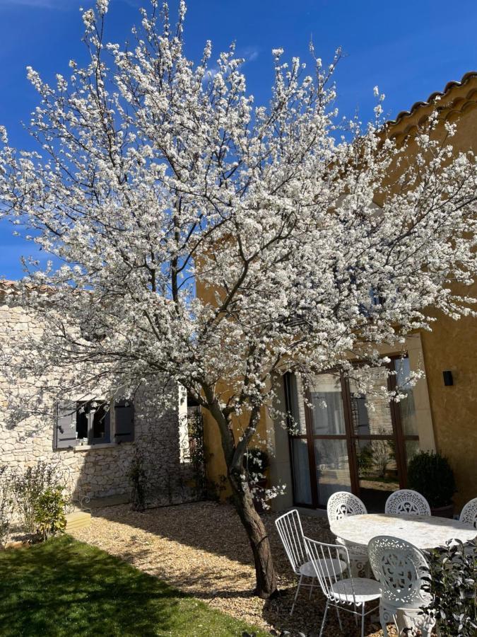 Willa Domaine D'Egenia Roussillon en Isere Zewnętrze zdjęcie