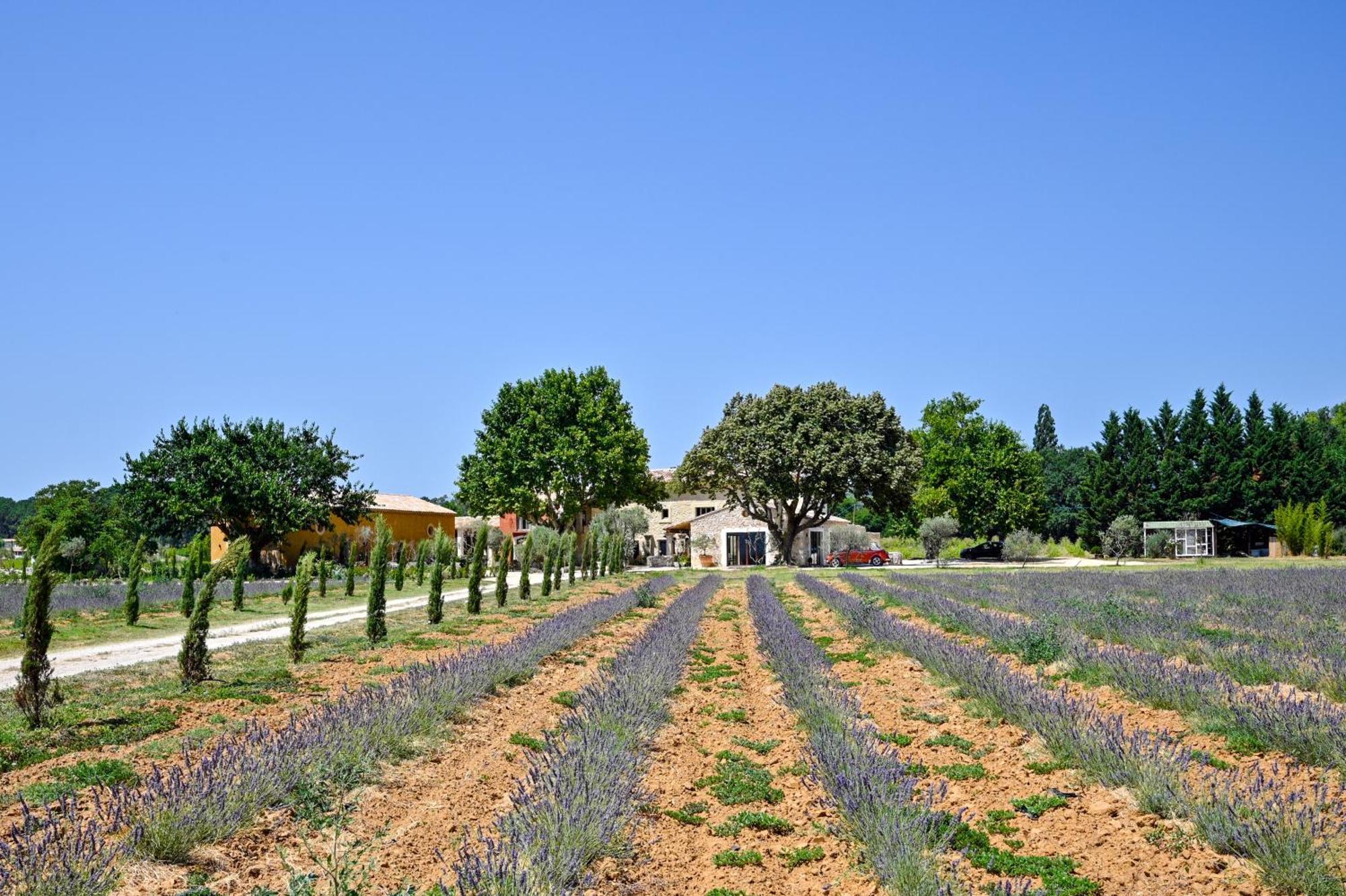 Willa Domaine D'Egenia Roussillon en Isere Zewnętrze zdjęcie